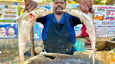 Very Rare Fish Cutting.